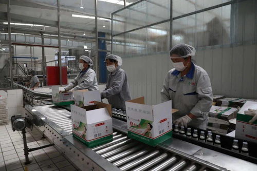 南京開發(fā)區(qū) 本地飲品年貨市場旺，節(jié)后加緊生產(chǎn)忙，軟件賦能助發(fā)展